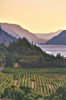 Views From the Wineries in Hood River of the Columbia River Gorge