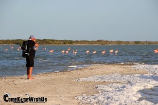 ComeKiteWithUs kiteboard kitesurf lessons El Cuyo Mexico adventure flamingo wildlife