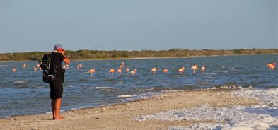 flamingos el cuyo mexico yucatan lagoon rio lagartos birds nature kiteboard lessons iko school comekitewithus photography 